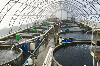 Circulating water optimization Circulating water optimization