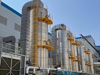 Chemical and Environmental Protection Sector