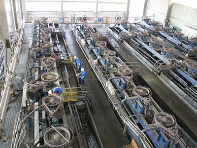 Mining Processing Sector