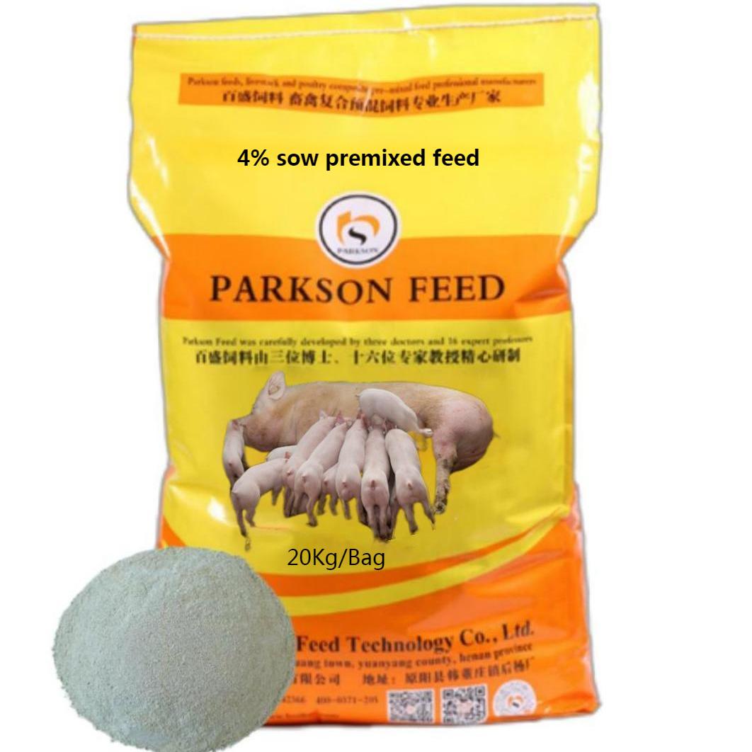 母猪.jpg