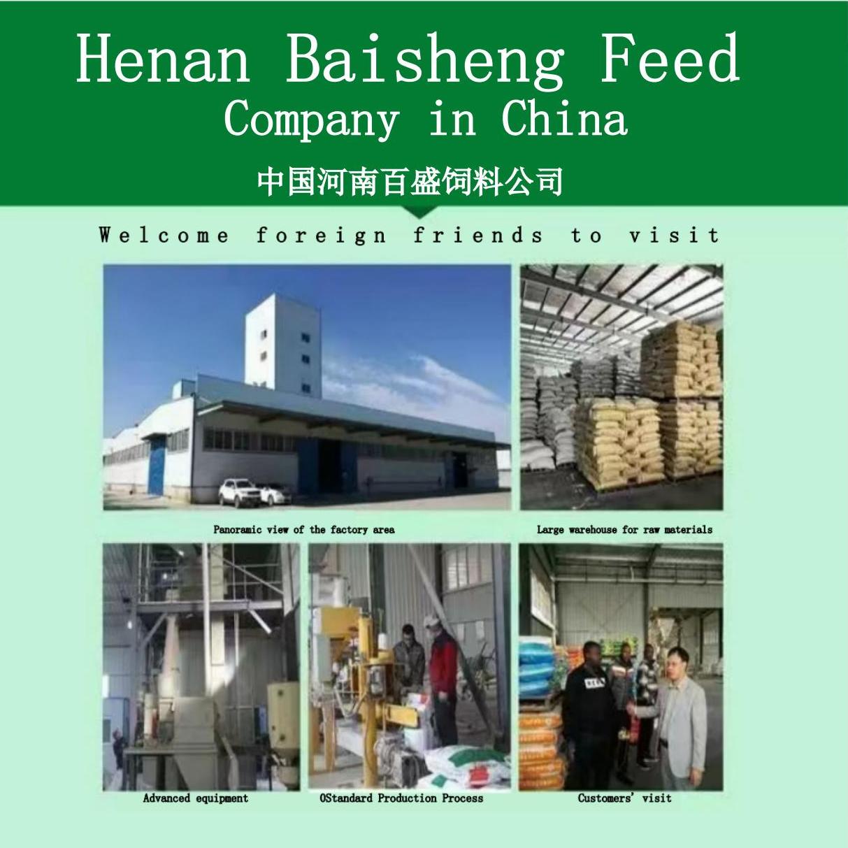 厂区.jpg