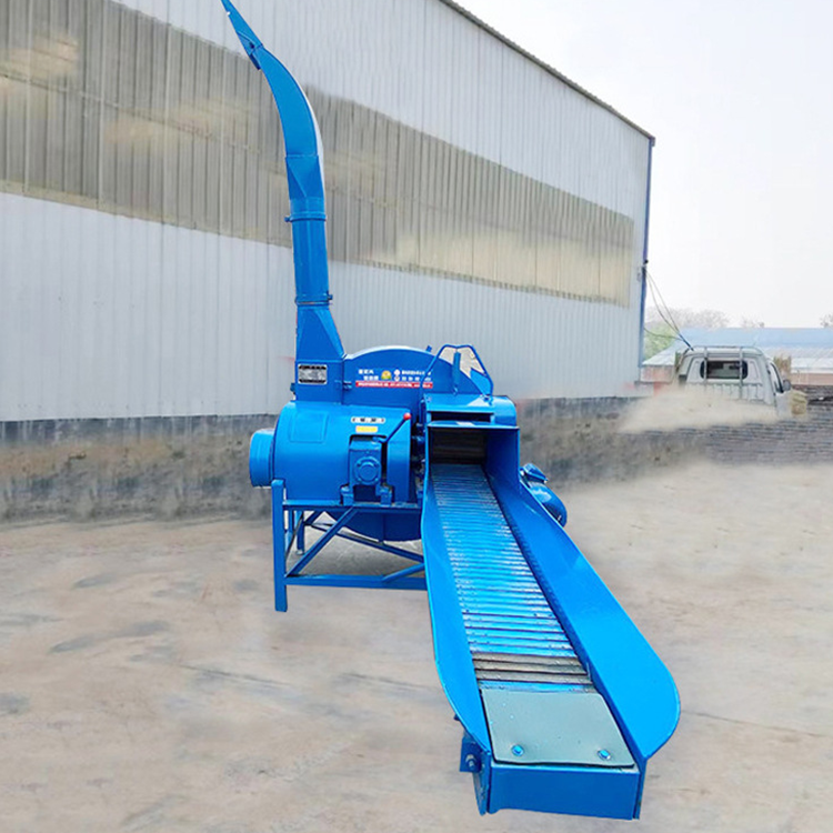 Dry and wet dual-use grass straw crusher